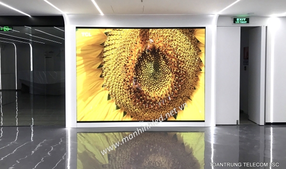 Màn hình LED P1.6 Indoor